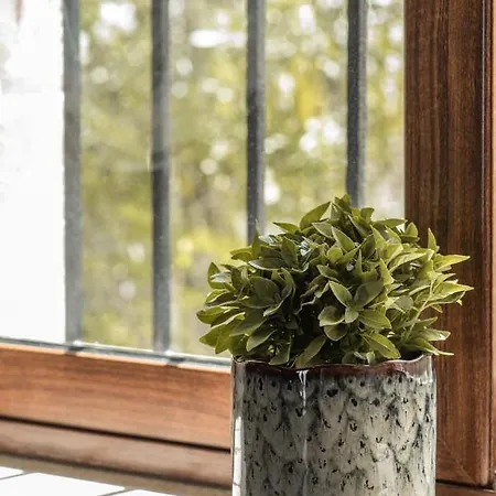 Murtini Stone With Private Pool, By Zantewize